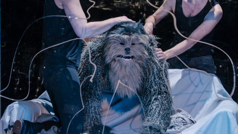 „Mein ziemlich seltsamer Freund Walter“

Produktion Stadttheater Fürth

Inszenierung:
Marco Steeger
Ausstattung:
Linda Hofmann
Komposition:
Hannes Hengster
Gewandmeisterin:
Anke Kreuzer-Scharnagl
Videodesign:
Paul Böschel
Das Stück entstand als Auftragswerk der Kunststiftung NRW anlässlich ihres 25-jährigen Jubiläums 2014.

mit Hannah Candolini, Sunna Hettinger, Mark Harvey Mühlemann, Frederick Redavid

Das Foto kann bei korrekter Urhebernennung fuer journalistische Zwecke honorarfrei verwendet werden: 

"Foto: Thomas Langer/Stadttheater Fuerth"